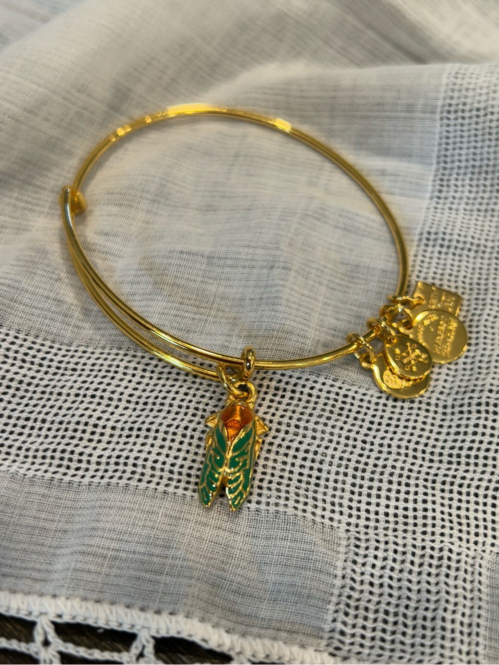 Alex and Ani Gold-Tone “Cicada” Bangle Bracelet